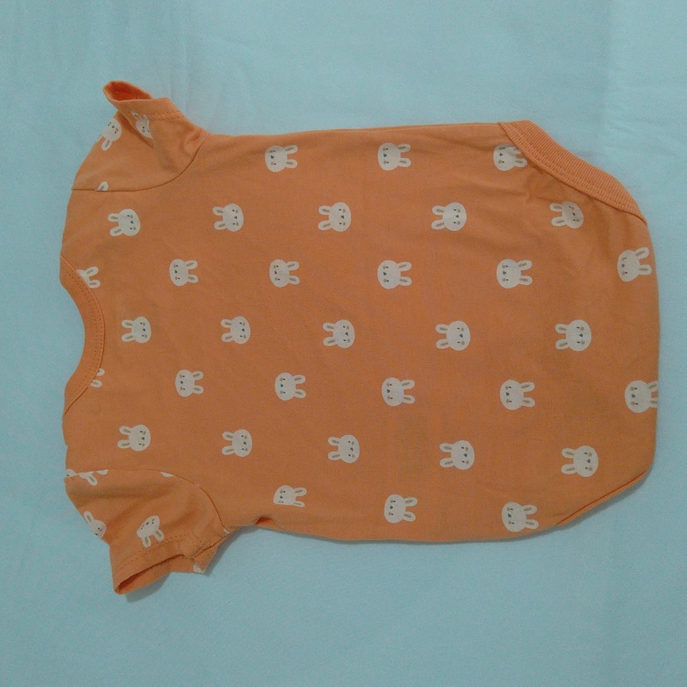 Sterling Cute Baby Girl Bunny Print 2 Bundle Bodysuits in Orange and Cream Set - Picture 10 of 12
